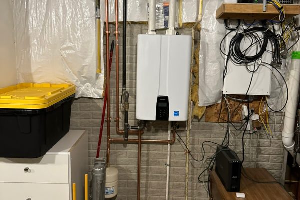 Tankless David Thomas