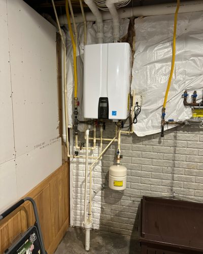 Tankless Geier